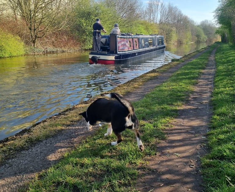 cheshire's master seer, tarot palm readings in northwich and cheshire