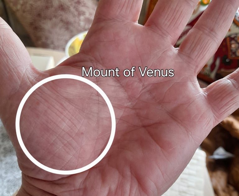 the mount of venus in the palm of a hand