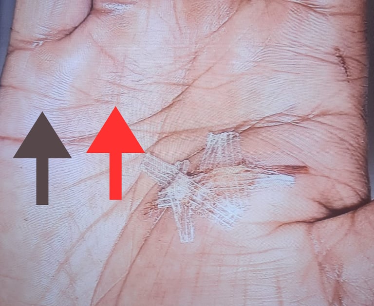 Rob hamilton author and palmist tarot reader in Northwich