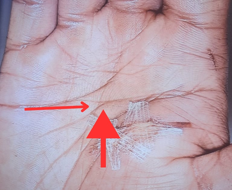 Rob hamilton palmist and tarot reader decodes a murders palm