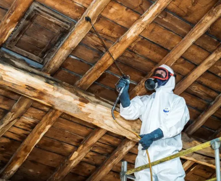 Traitement professionnel de charpente contre les termites par Renov Toiture à Pau