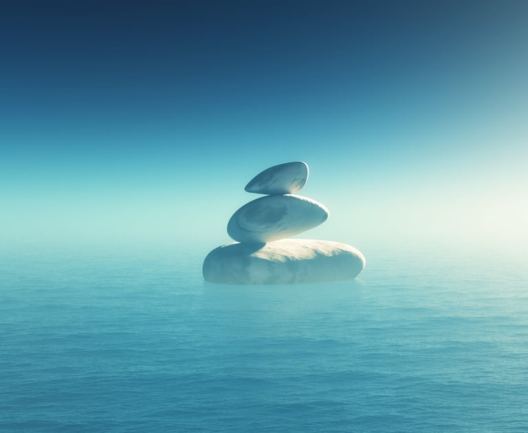 ¿ Qué significa Seijaku? | Seijaku Agency