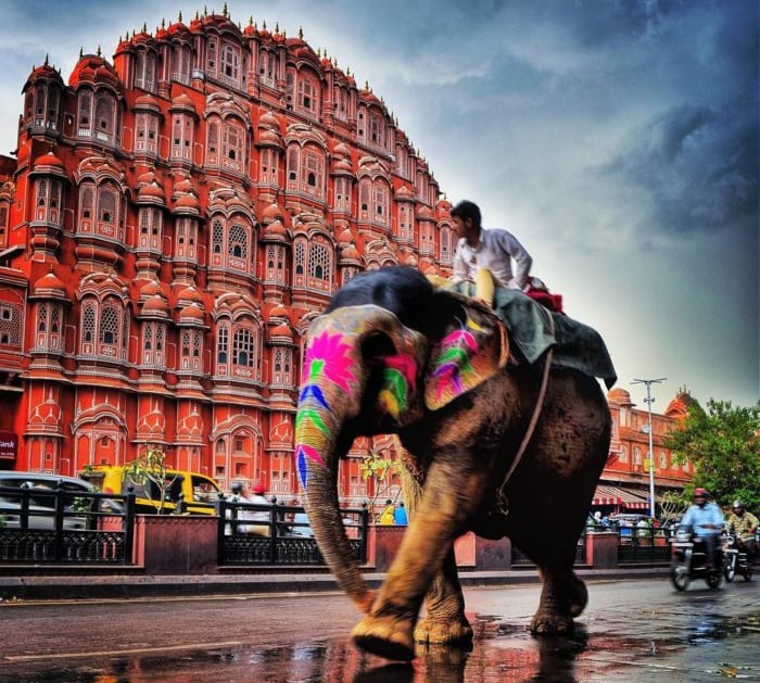 elephant ride infront of Hawa Mahal in Jaipur