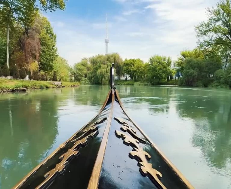 Anhor Cruise