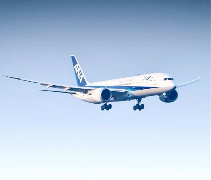 Avion comercial boing 787