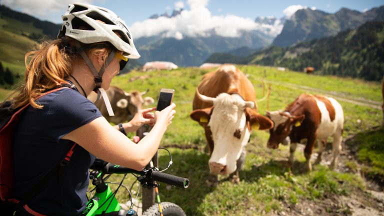 Rural tourism