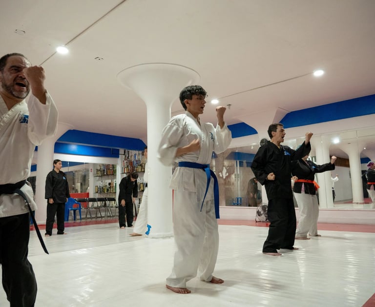 Jovenes y adultos practicando karate en la narvarte en Sharks Academy