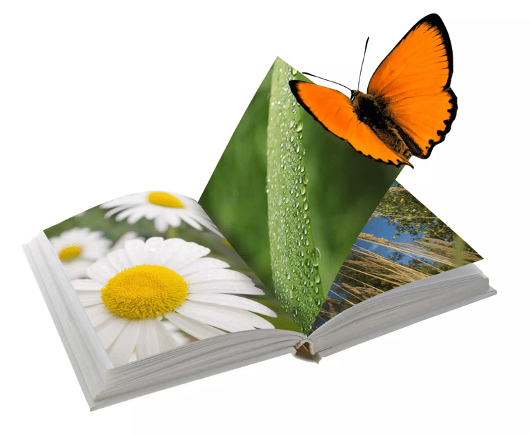 Impresión de Libros Solo con Texto o con Imágenes