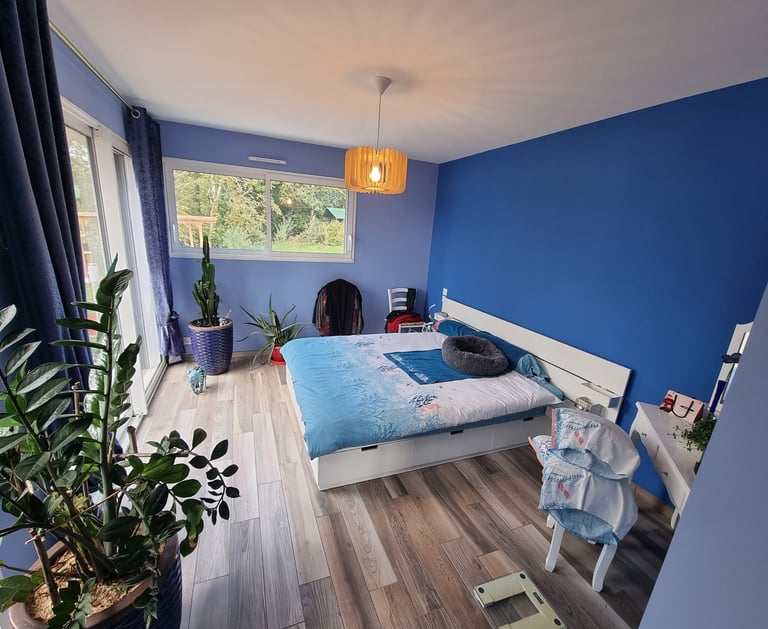 Modern bedroom with blue walls, a white storage bed, and green indoor plants on wood floors.