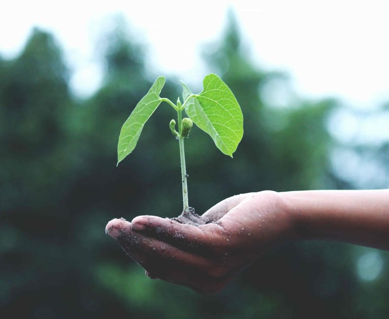 alimentae-generazione-goals-educazione-bologna-emilia-romagna