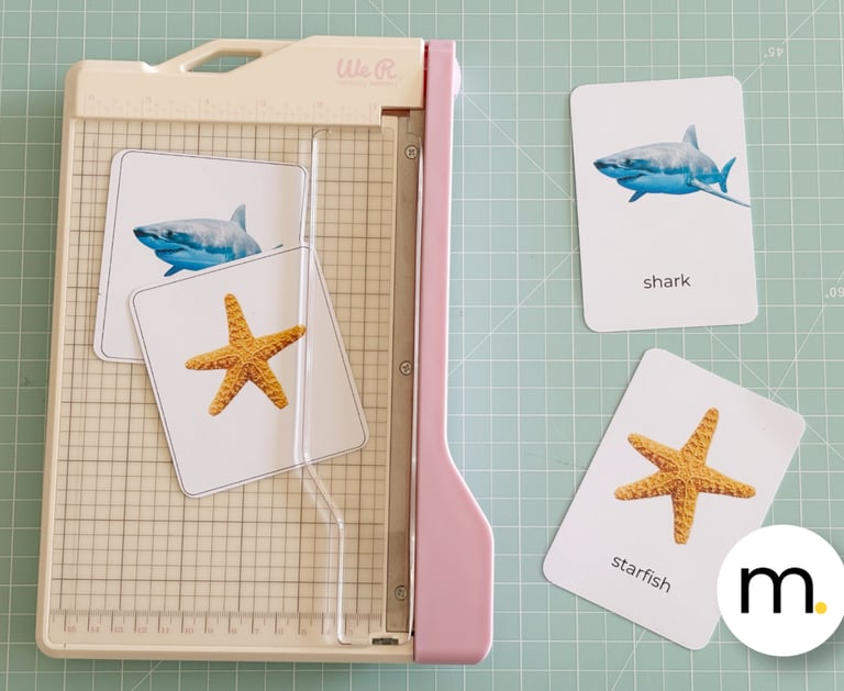 Printed Montessori flash cards English Spanish real photographs
