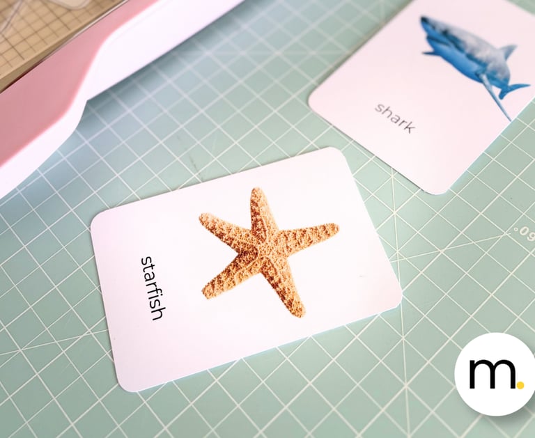 Ready to print Montessori cards English Spanish real photographs