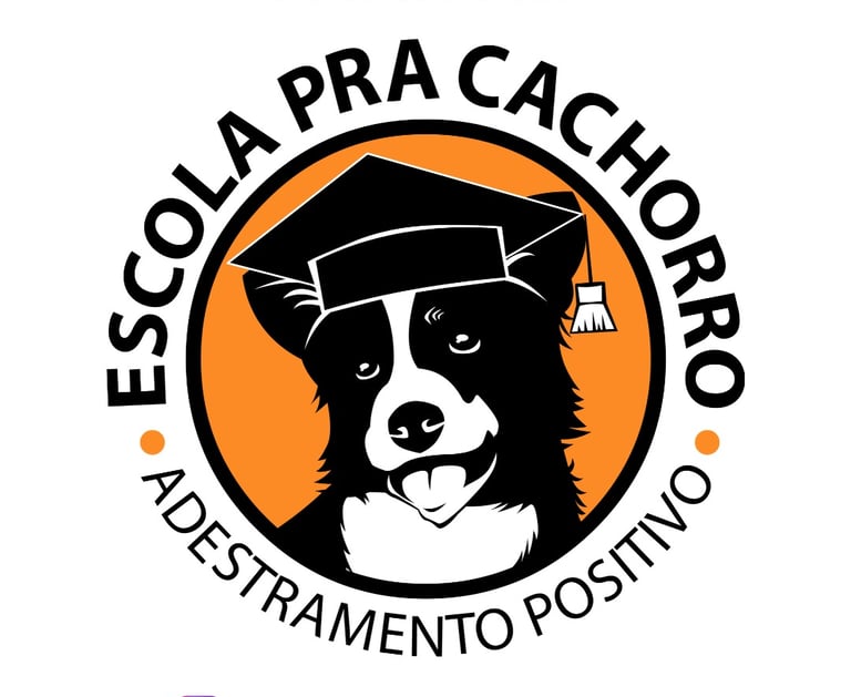 a dog wearing a graduation cap and a cap with a graduation cap