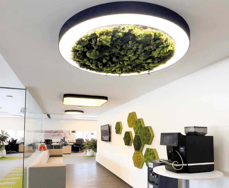 Bedruckes Lichtmodule in Moos Opik