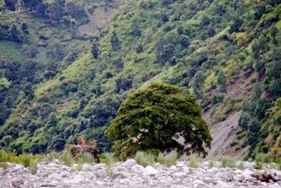 Sati Kund, Hairakhan, Kumaon Himalayas, India