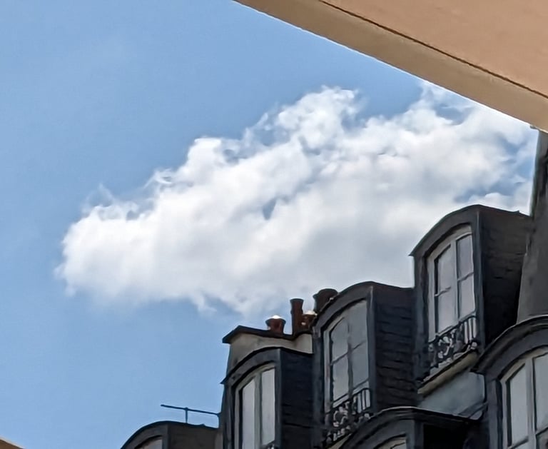 Cour du musée de Cluny. Que voyez-vous dans ce nuage ?