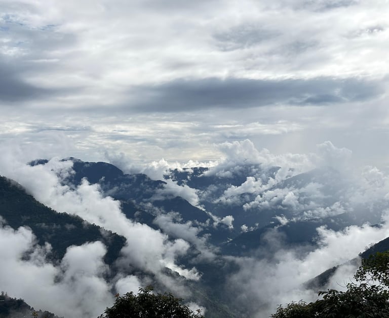 Pine Valley View Homestay - Chakung Homestay
