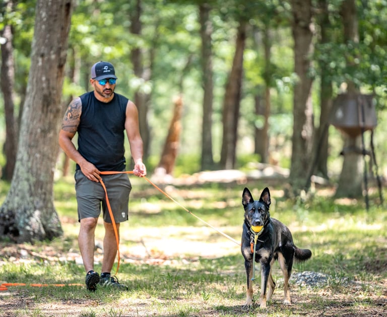 Tampa dog trainer working with German Shepherd on obedience outdoors.