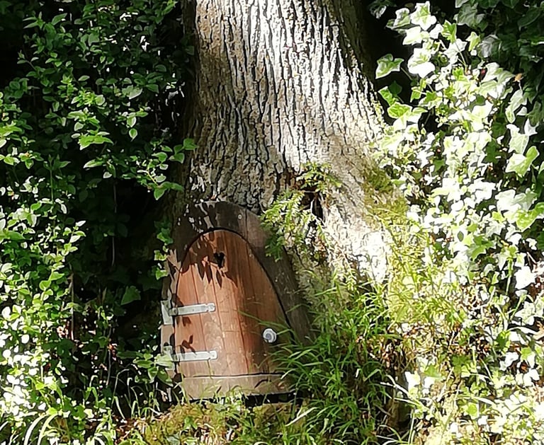 Petite porte au pied d'un chêne au Bois-de-Cise