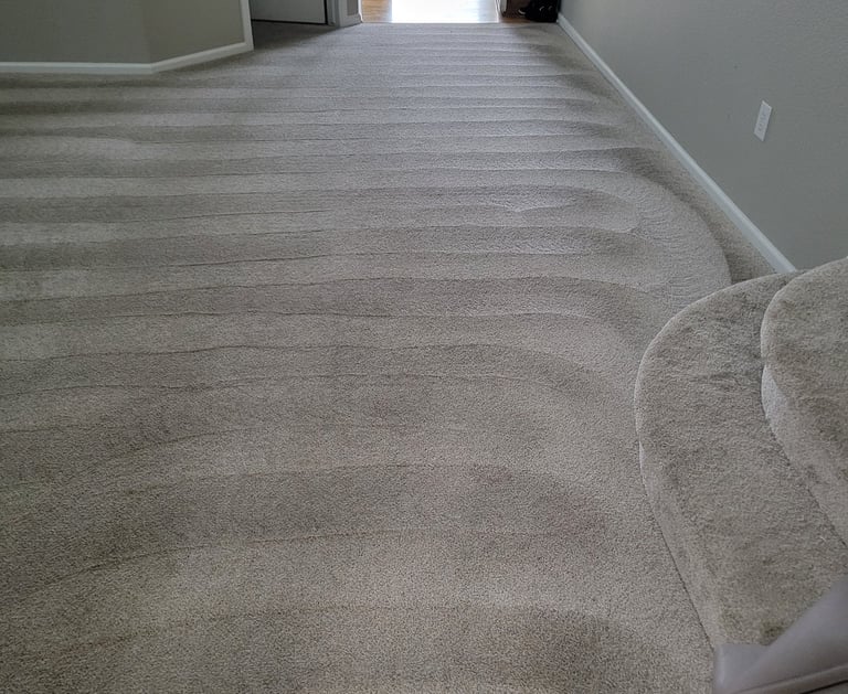Beautiful Clean grey carpet, Spotless,  when using King Organic Clean