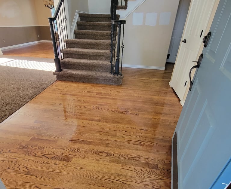 Photo of King Organic Clean just cleaned the Wood Floor Entry Way with clean brown carpet, clean flight of stairs, 
