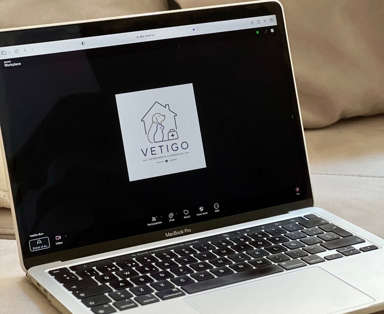 Visita veterinaria online
