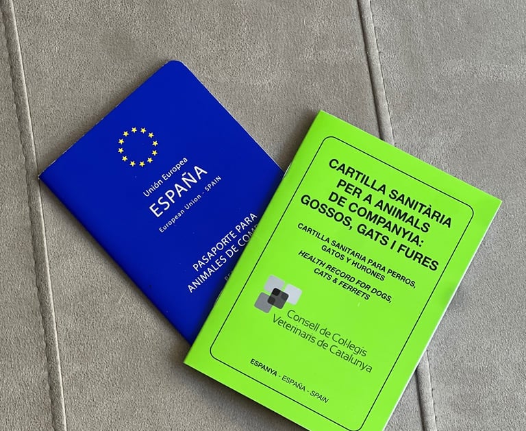 Microchip y pasaporte para perros y gatos a domicilio