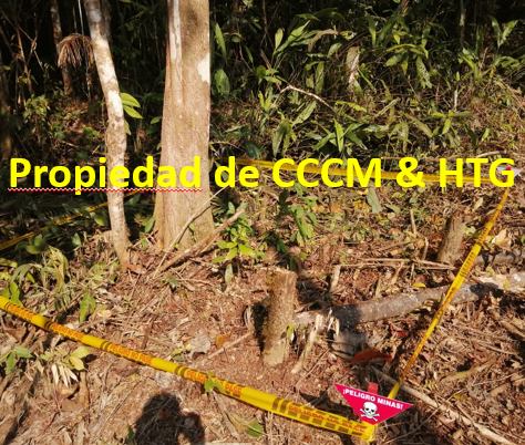 Danger mines sign in a forest setting- Hydrogen technologies group