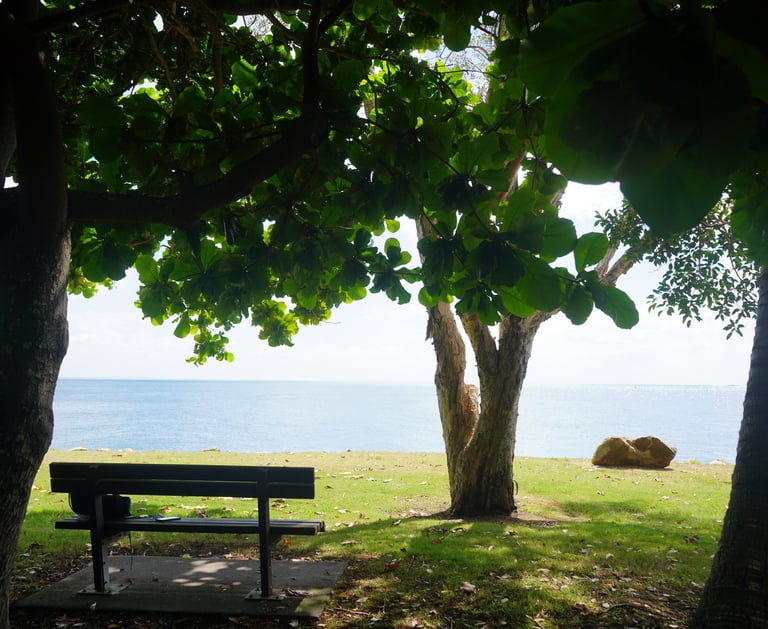Golden hour nature photography in Victoria Professional landscape photography Brisbane Australia