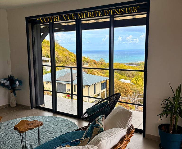 nettoyage de vitres en martinique