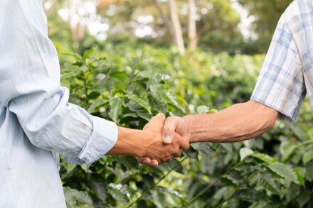 farmers shakehands surrounded by coffee fields