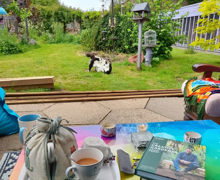 Wilbur & Cookie having a bundle in front of our garden seating area