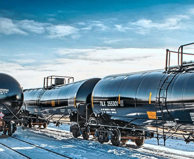 System for diagnosing of dangerous cargo