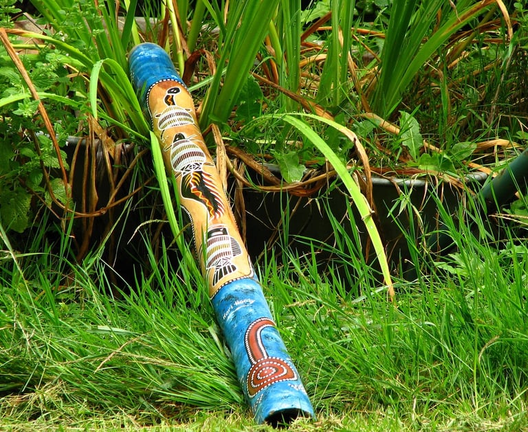 Discover the didgeridoo world