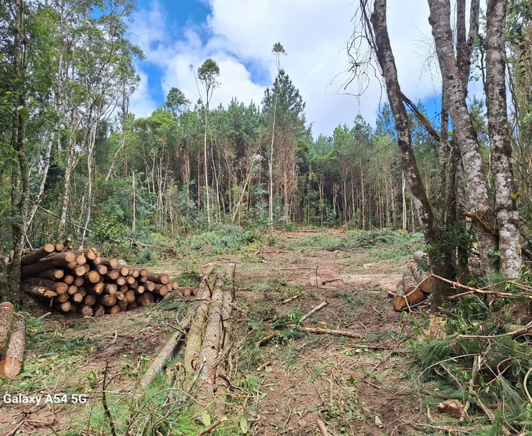 Direito - Posse e propriedade - Marcus Barros - Advogado