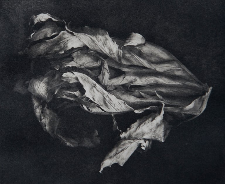 photogravure