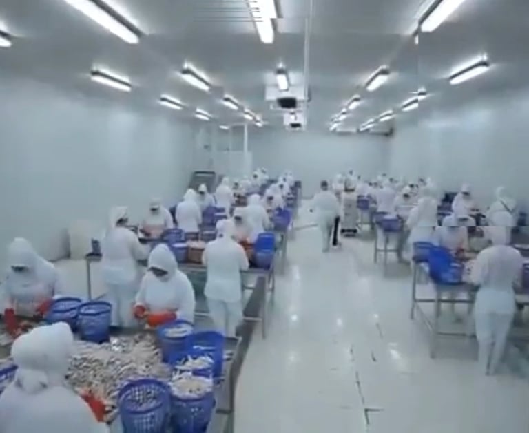 Chicken Feet Exports