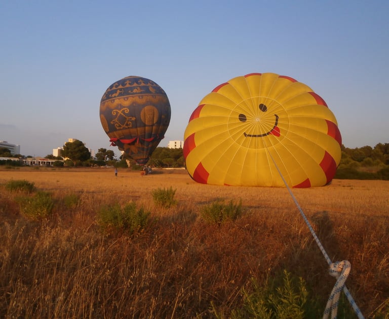 Globos aerostáticos con formas