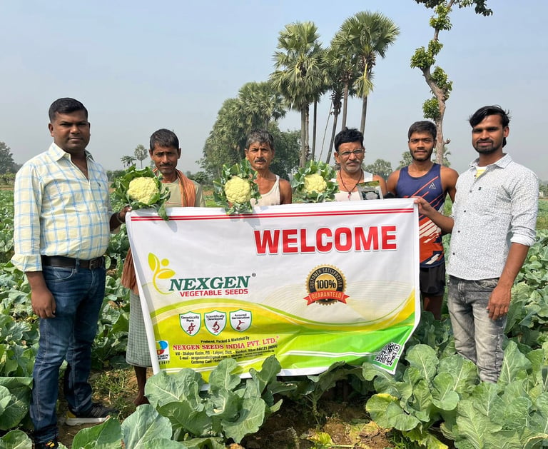 Indian farmers in a vegetable field holding fresh cauliflower and a Nexgen Vegetable Seeds banner.