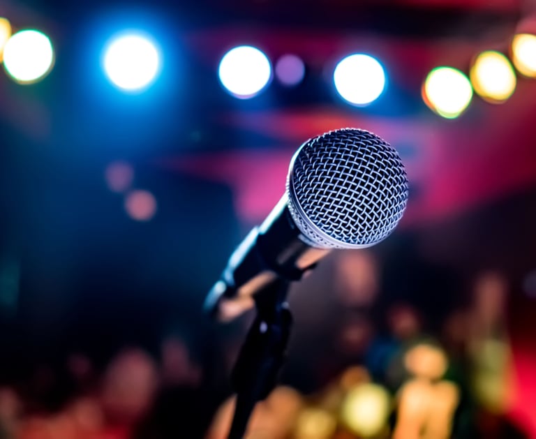 Animation repas dansant - karaoké