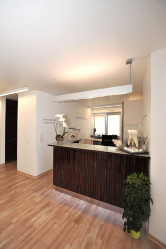 a kitchen with a wooden floor and a planter