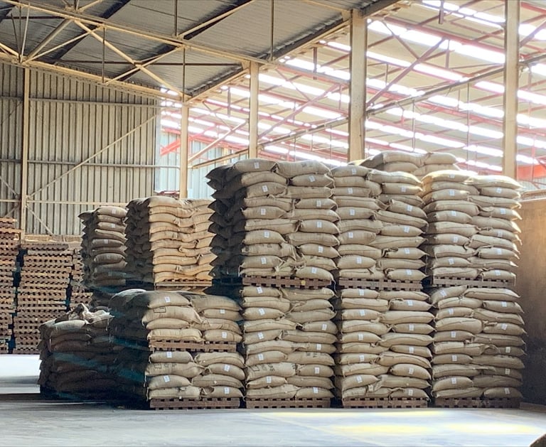Import café trading arabica Afrique