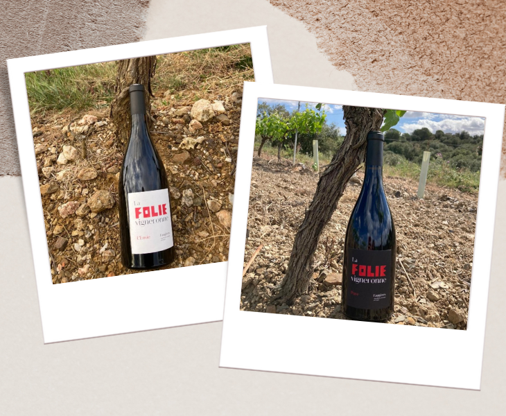Mise en Bouteille