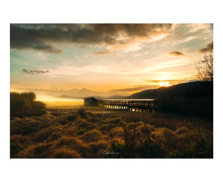 Laguna de Tota Nelson Lizarazo