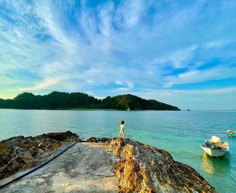 freedom from algorithm