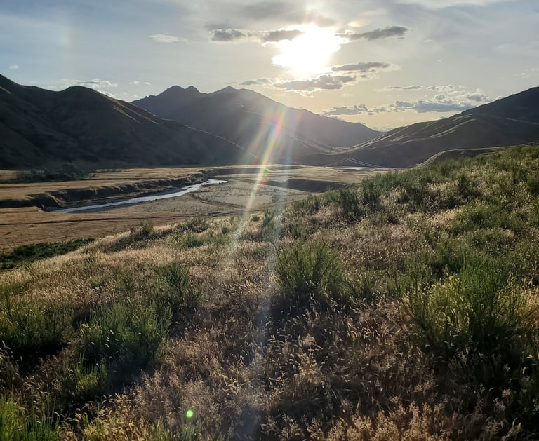 a field with a river and mountains in the background