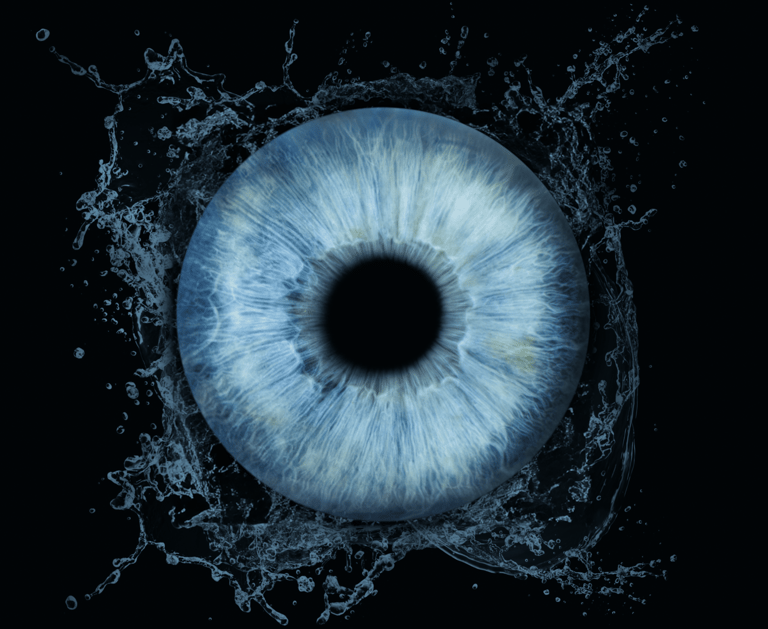 Blue iris photography