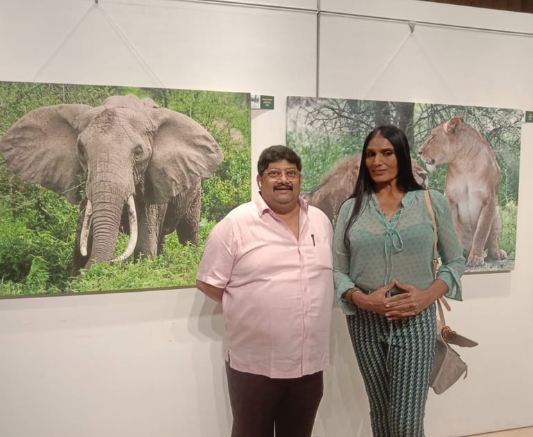Rajesh Kaithwas Foundation