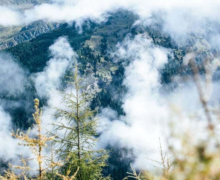 Kalnų peizažas su debesimis ir spygliuotu medžiu, simbolizuojantis Skaido, MB vertybes 