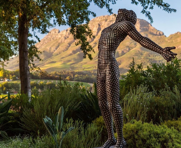 Delaire Graff vineyard in Stellenbosch